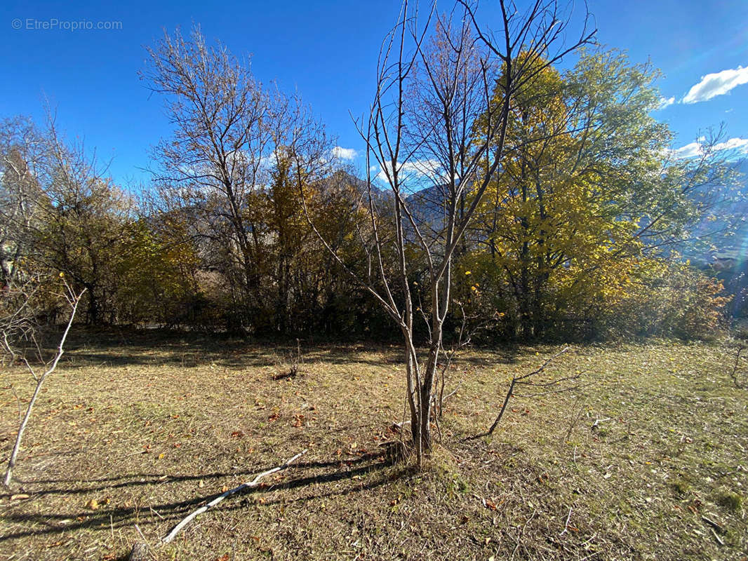 Terrain à CHATEAUROUX-LES-ALPES