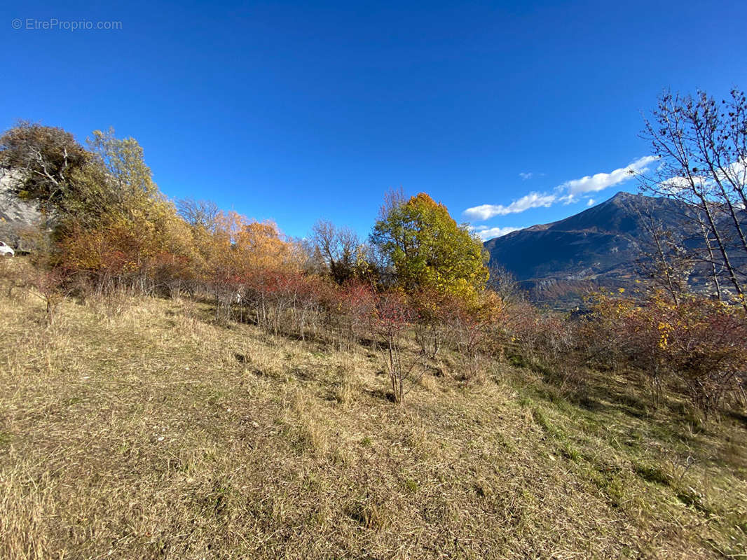 Terrain à CHATEAUROUX-LES-ALPES