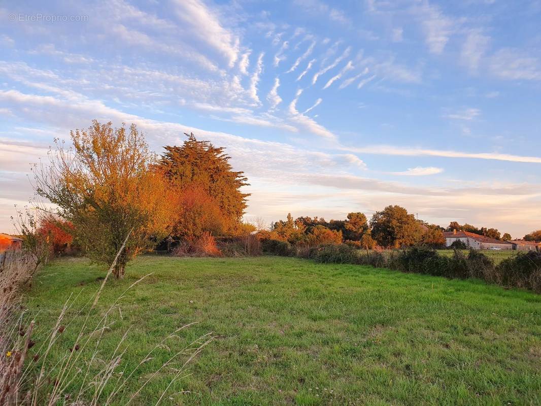 Terrain à EPARGNES