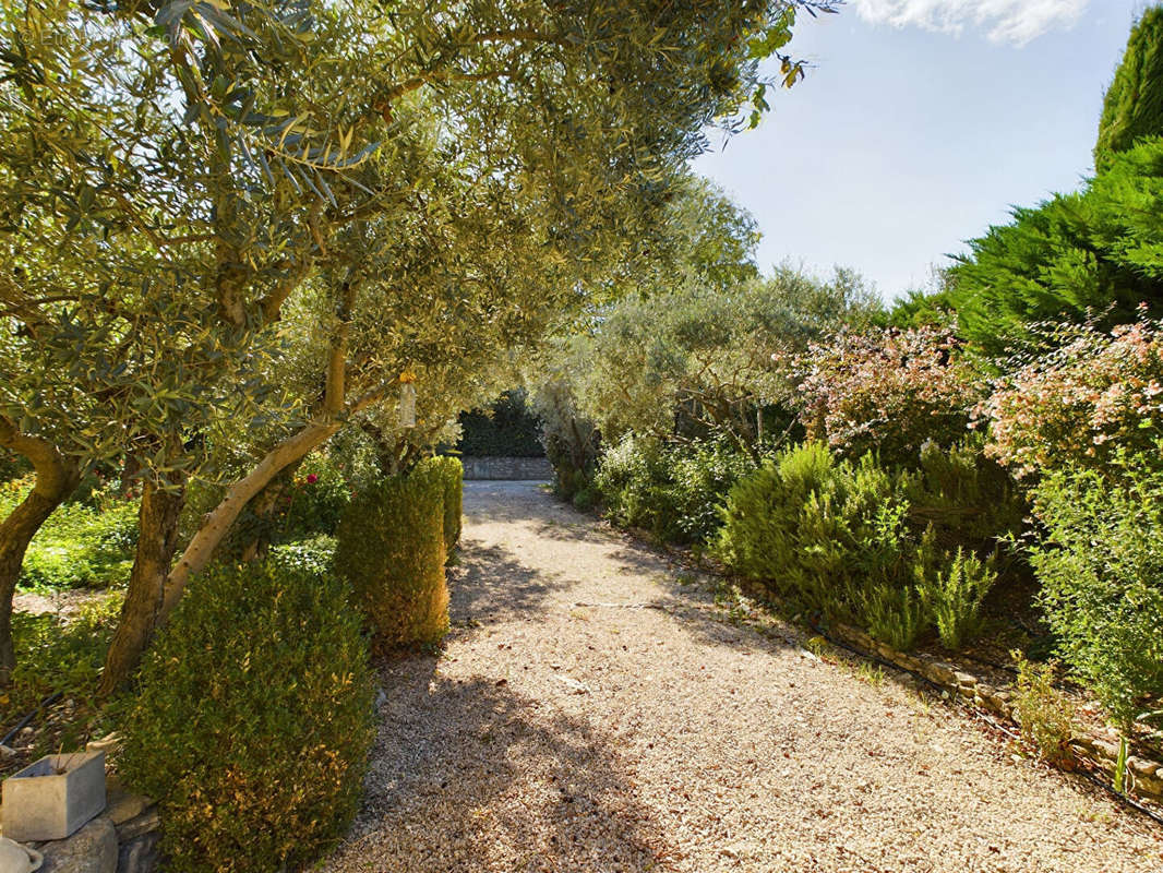 Maison à SAINT-REMY-DE-PROVENCE