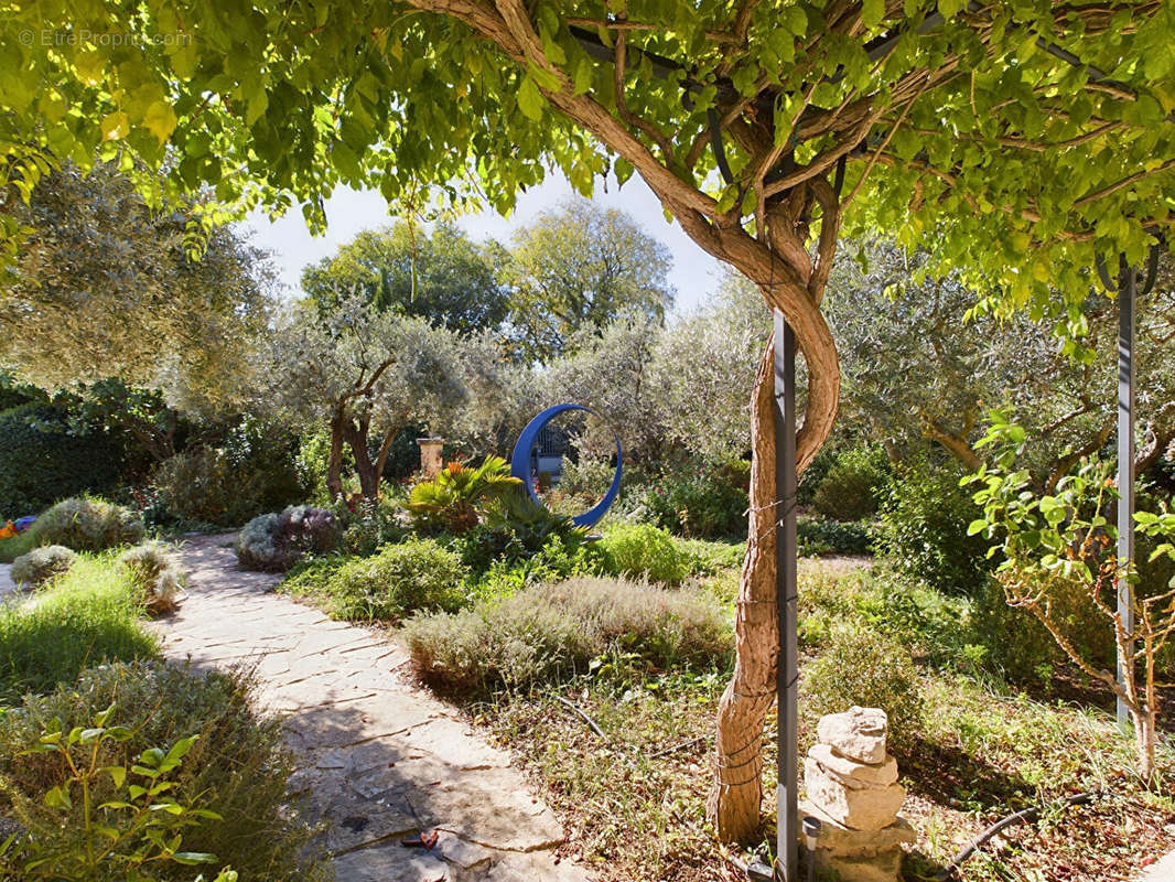 Maison à SAINT-REMY-DE-PROVENCE