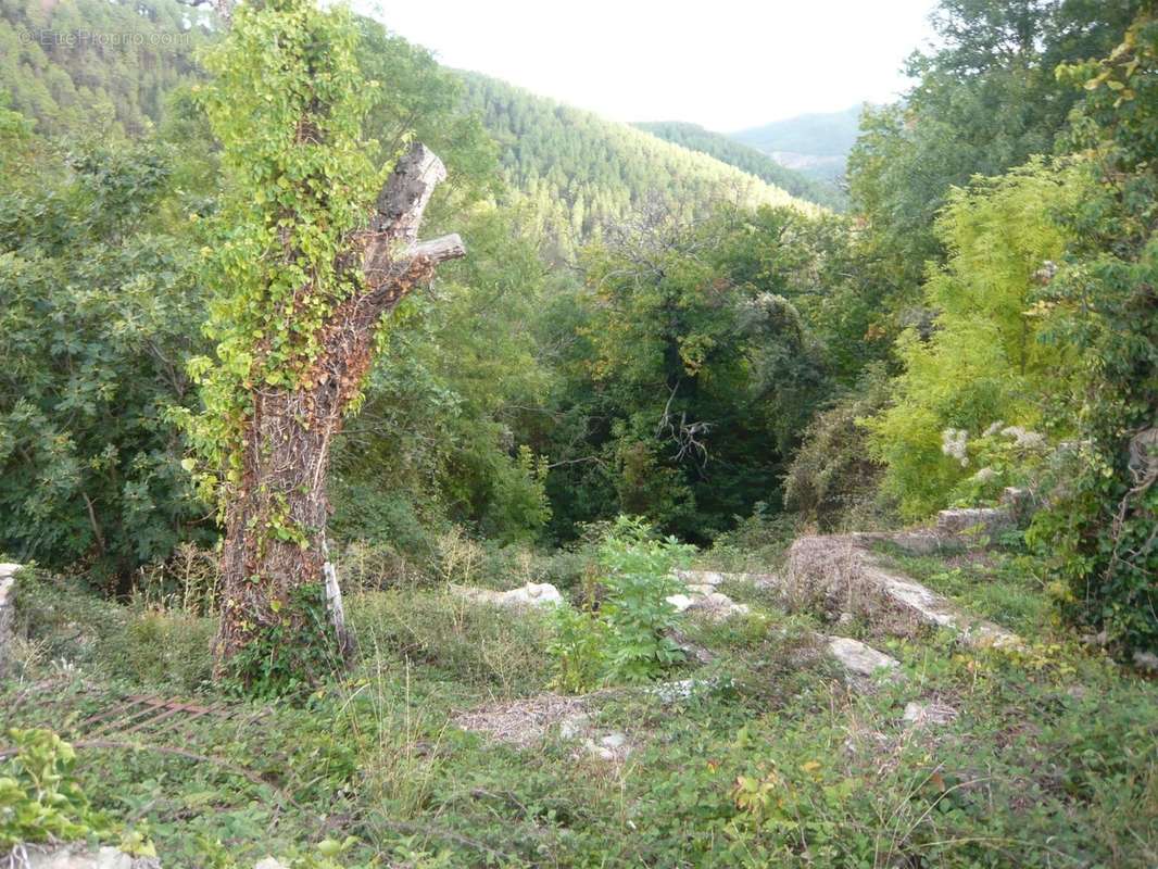 Maison à LE COLLET-DE-DEZE