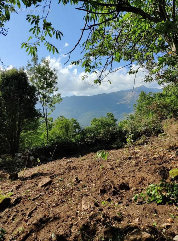 Terrain à TAVERA