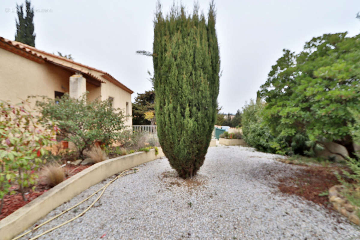 Maison à SALLES-D&#039;AUDE