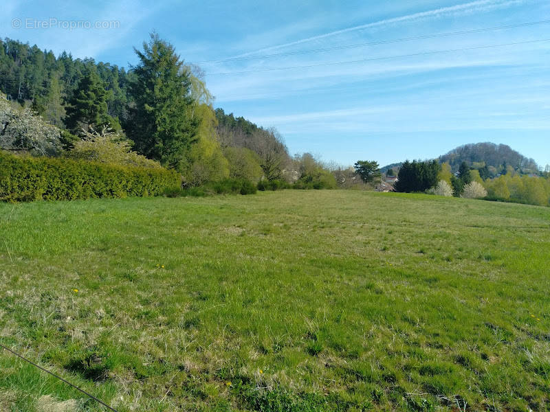 Terrain à BRUYERES