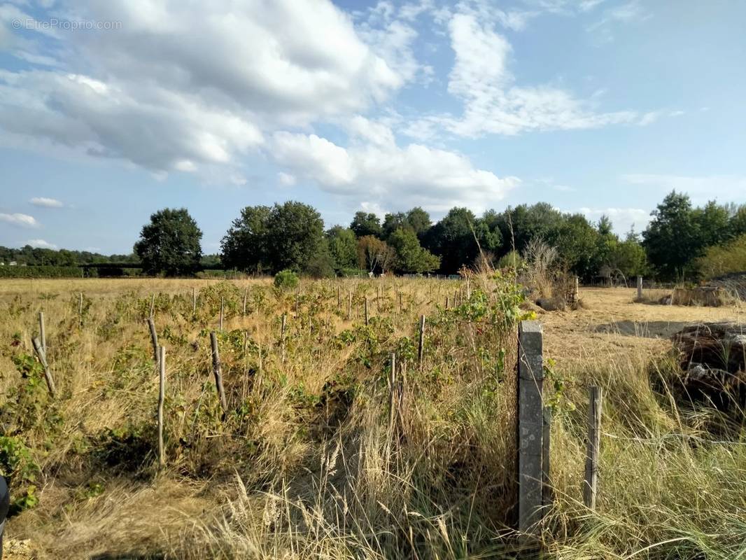 Terrain à SAINT-CIERS-SUR-GIRONDE