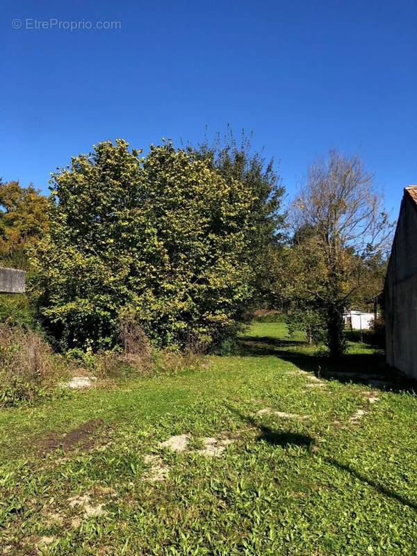 Terrain à VILLIERS-SUR-MARNE