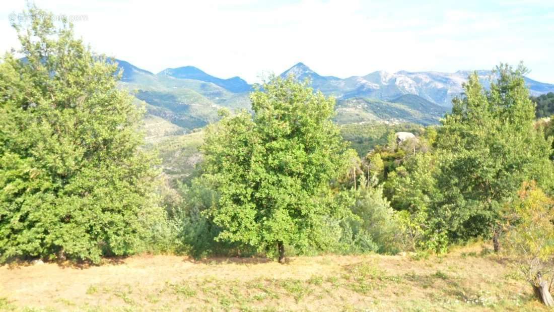 Terrain à BERRE-LES-ALPES