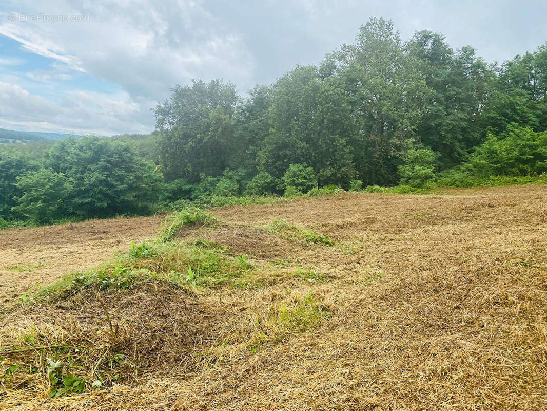 Terrain à PLANIOLES