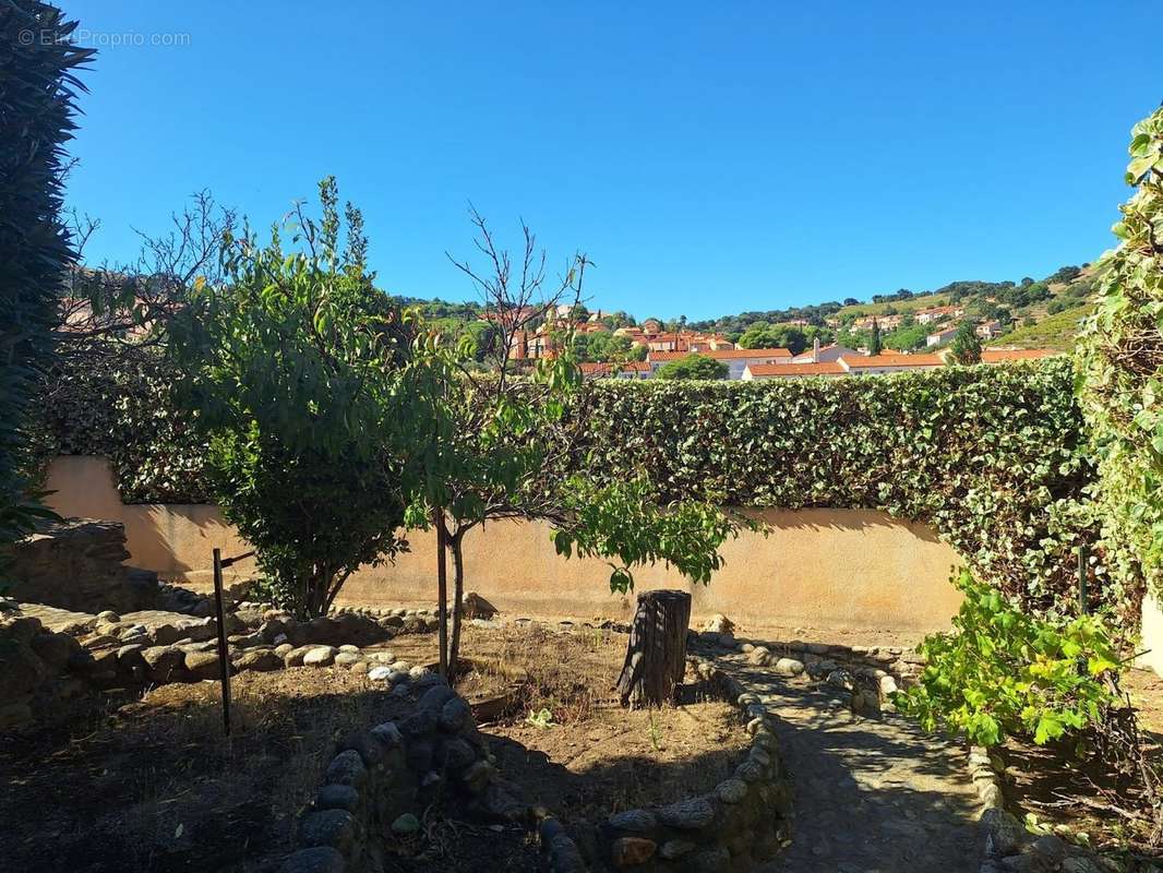 Maison à COLLIOURE