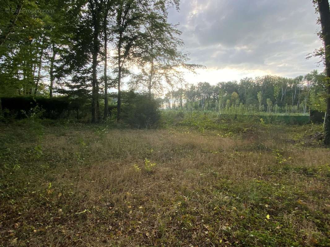 Terrain à CHOISY-AU-BAC