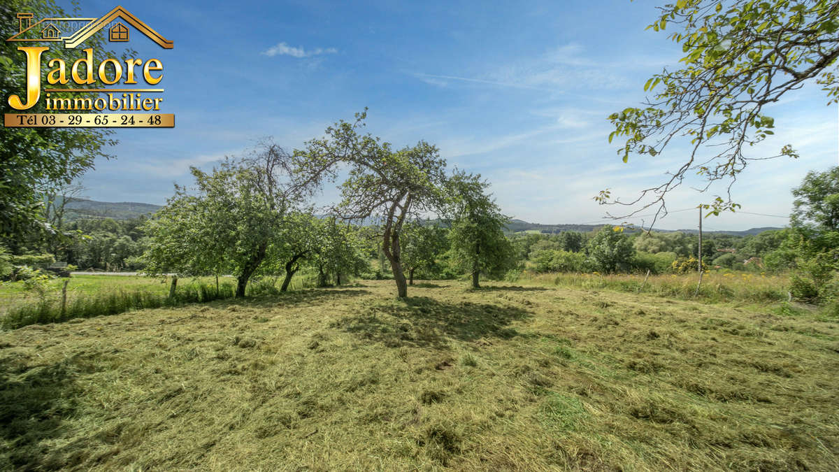 Terrain à SAINT-DIE-DES-VOSGES