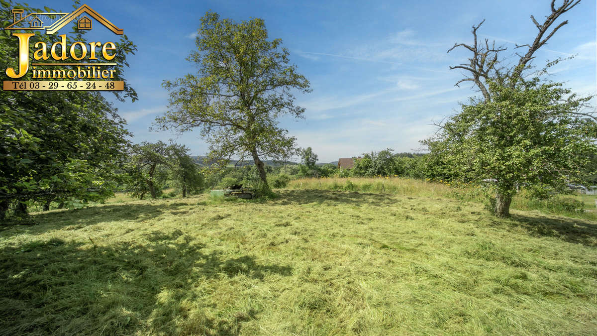 Terrain à SAINT-DIE-DES-VOSGES