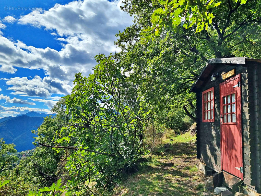 Terrain à BELVEDERE