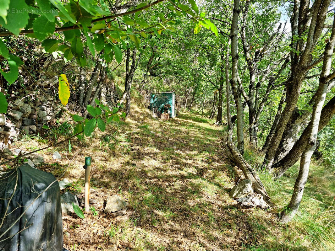 Terrain à BELVEDERE