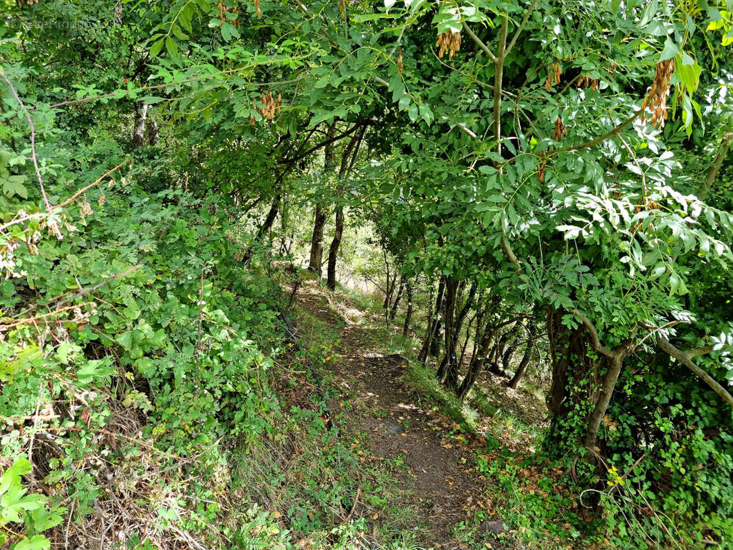 Terrain à BELVEDERE