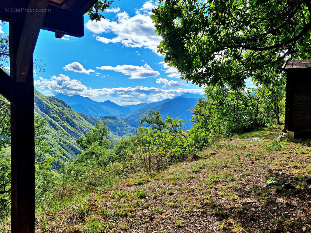 Terrain à BELVEDERE