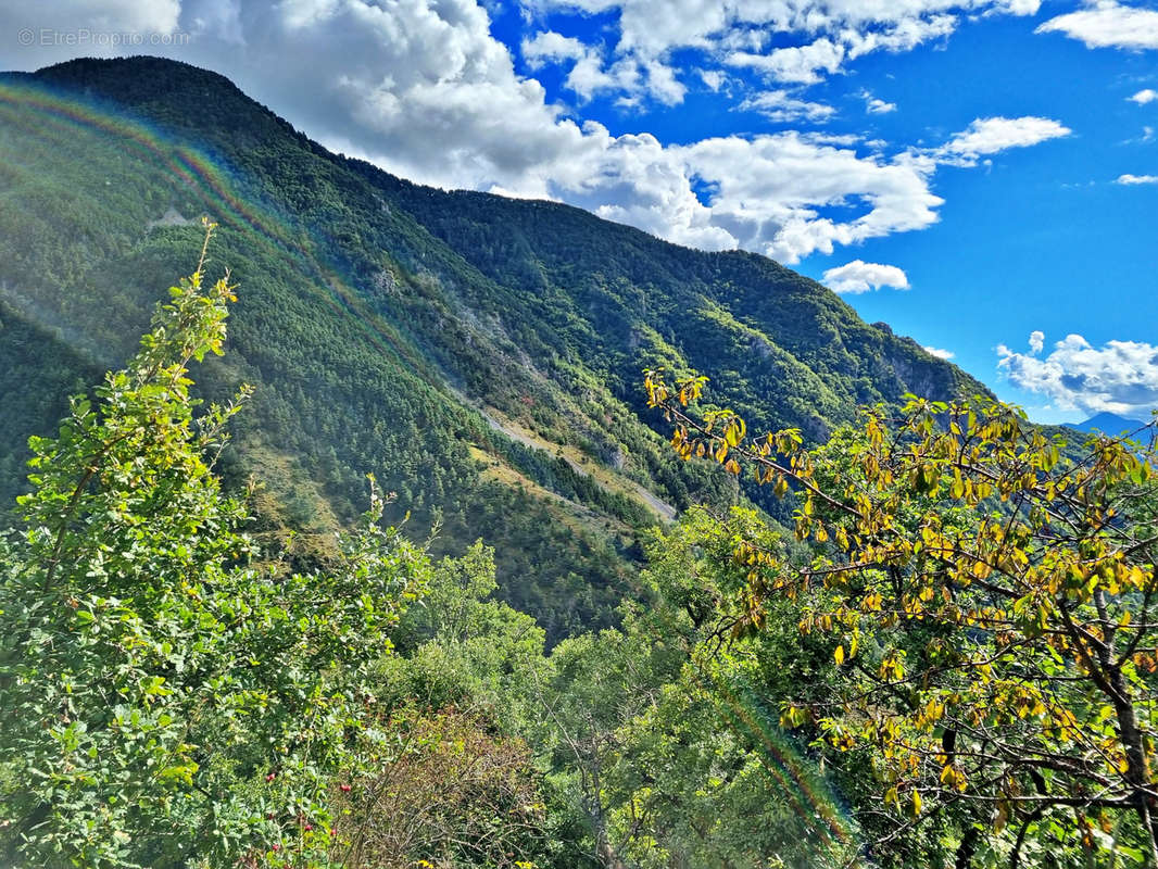 Terrain à BELVEDERE