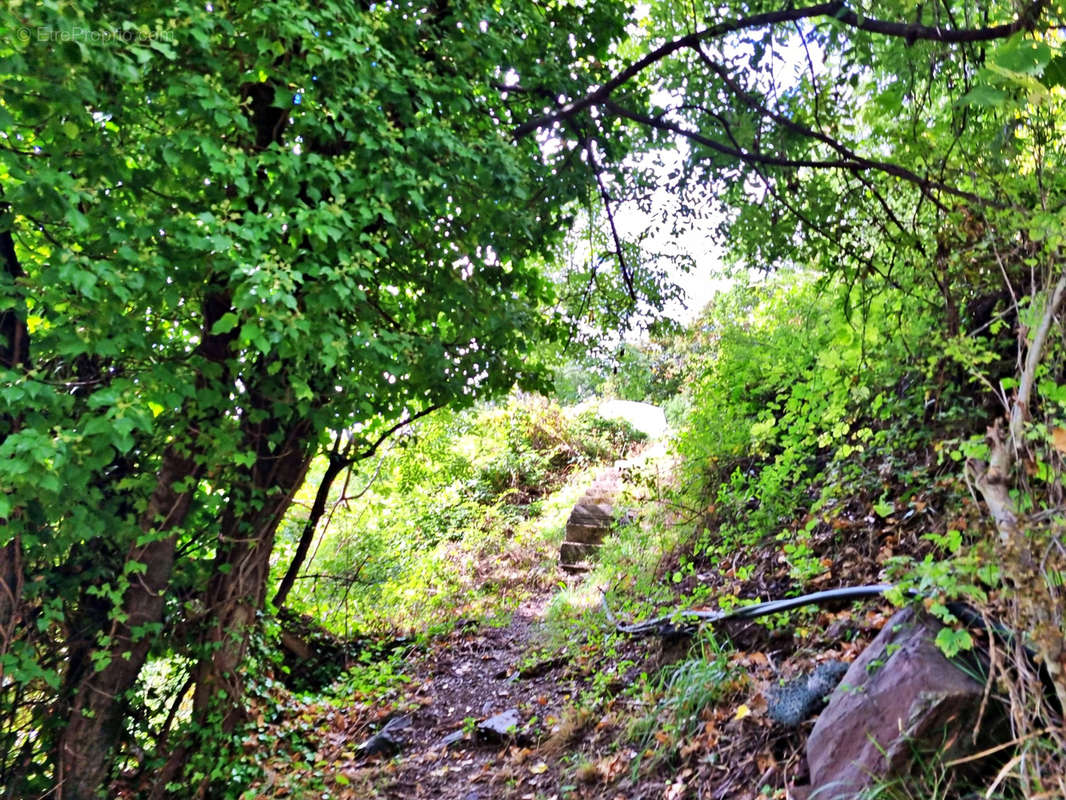 Terrain à BELVEDERE