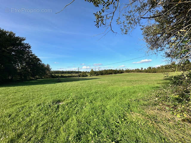 Terrain à LA ROCHE-CHALAIS