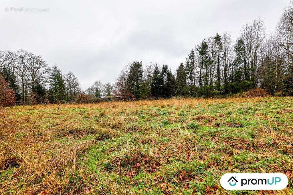 Terrain à PEYRILHAC