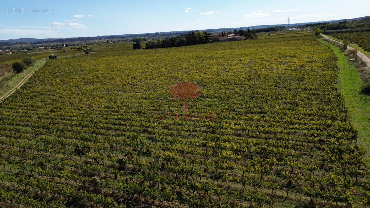 Terrain à CLERMONT-L&#039;HERAULT