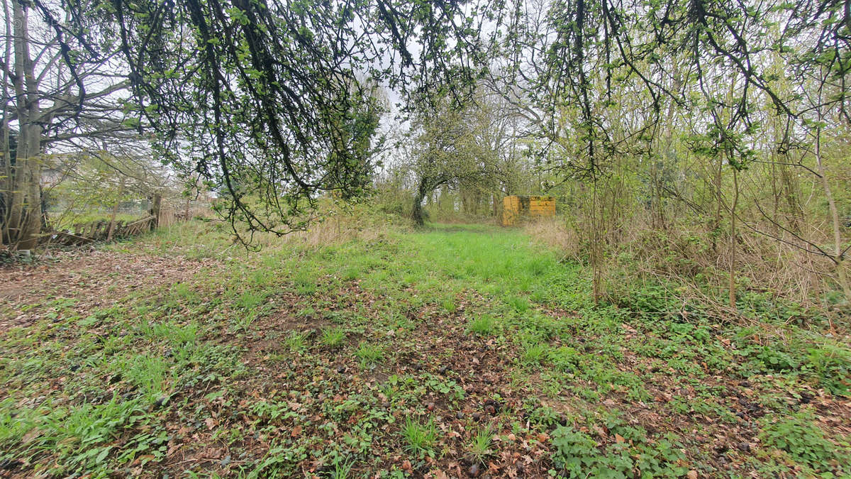 Terrain à SAINT-MARTIN-DU-TERTRE