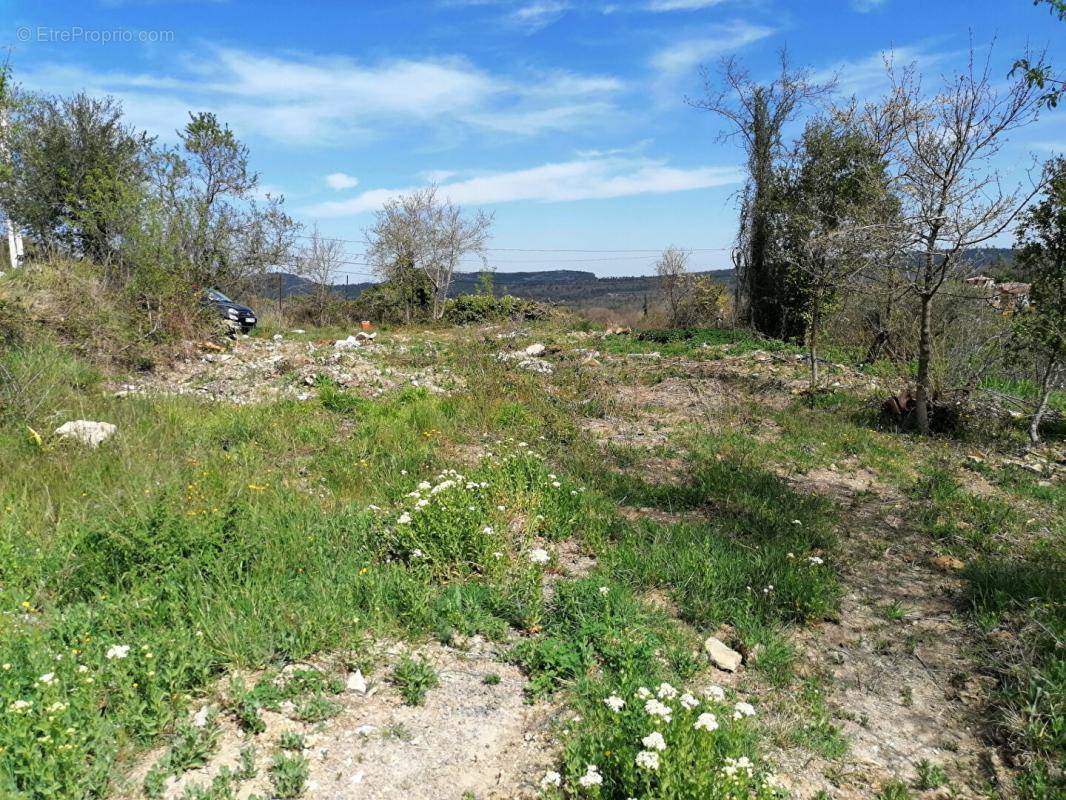 Terrain à MAZAUGUES