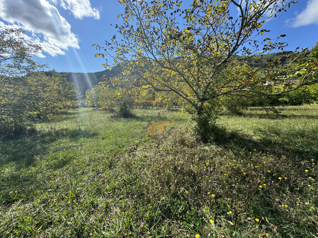 Terrain à SAINT-AFFRIQUE