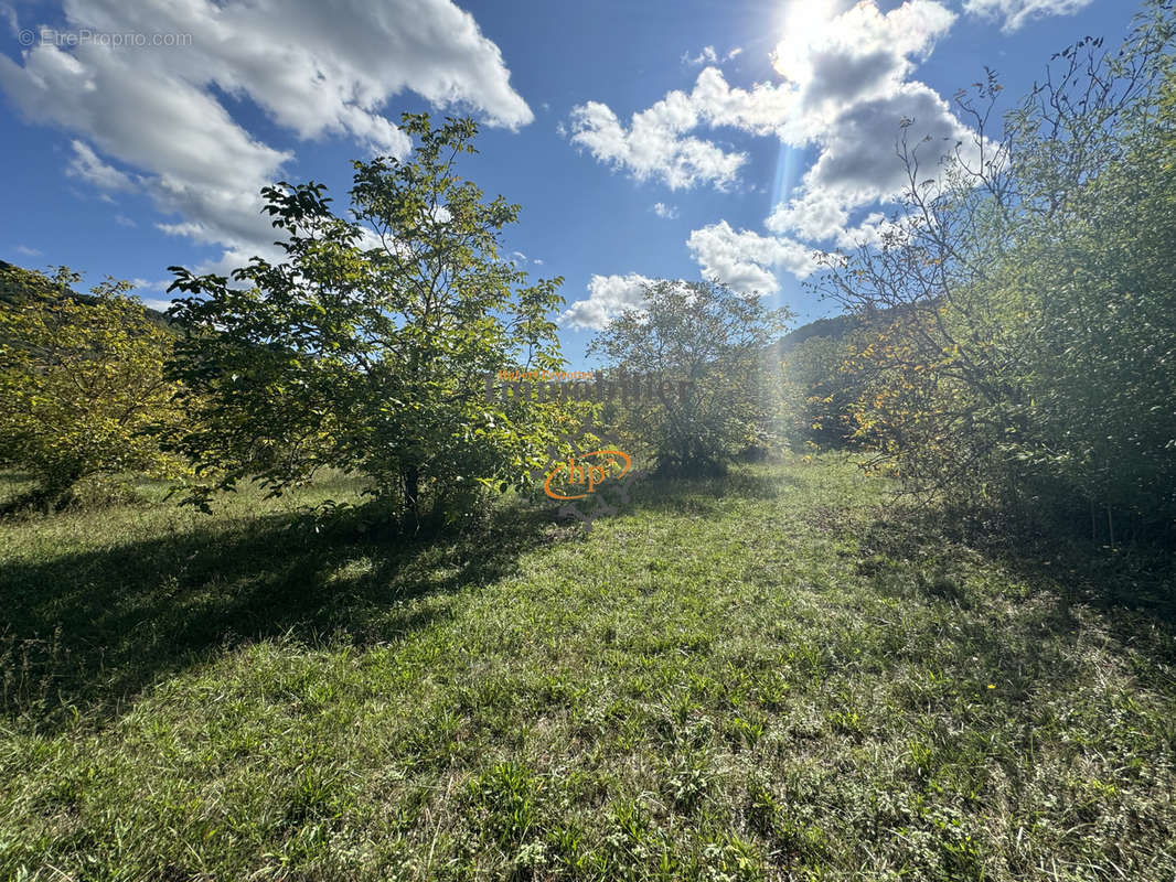 Terrain à SAINT-AFFRIQUE