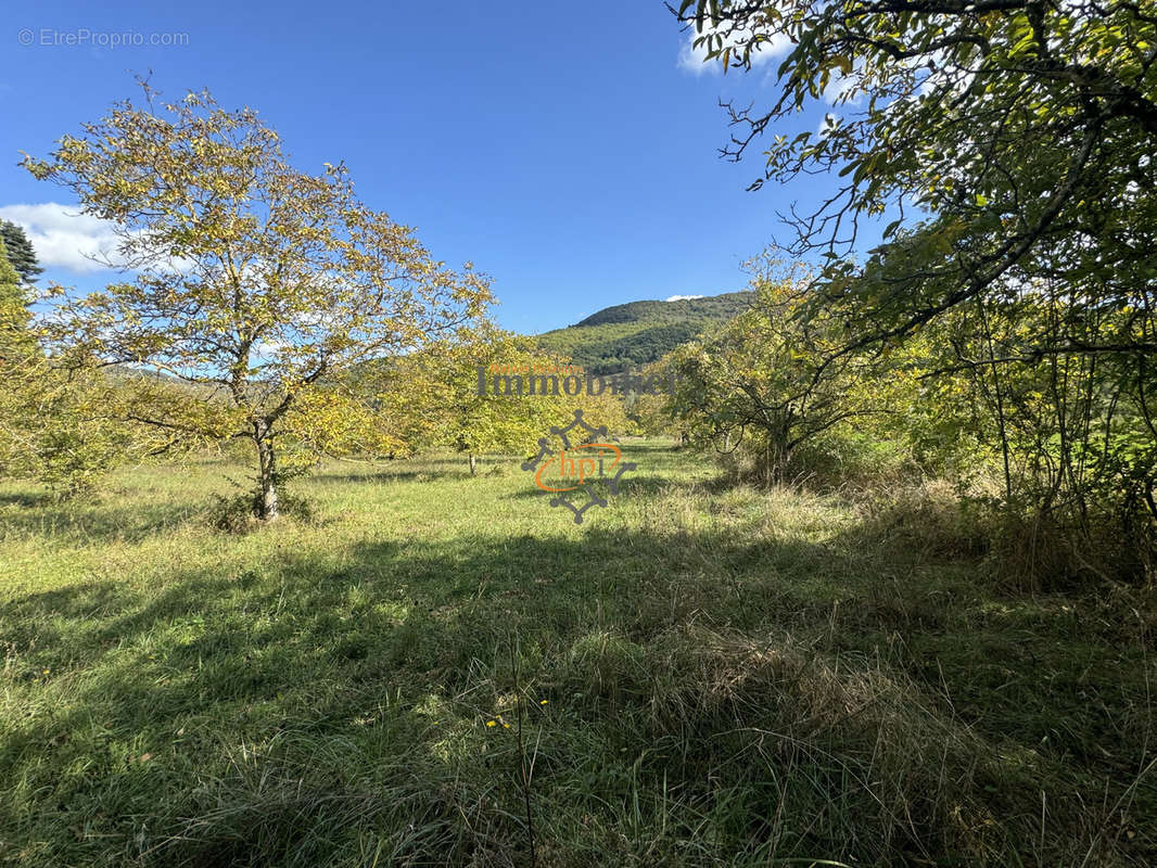 Terrain à SAINT-AFFRIQUE