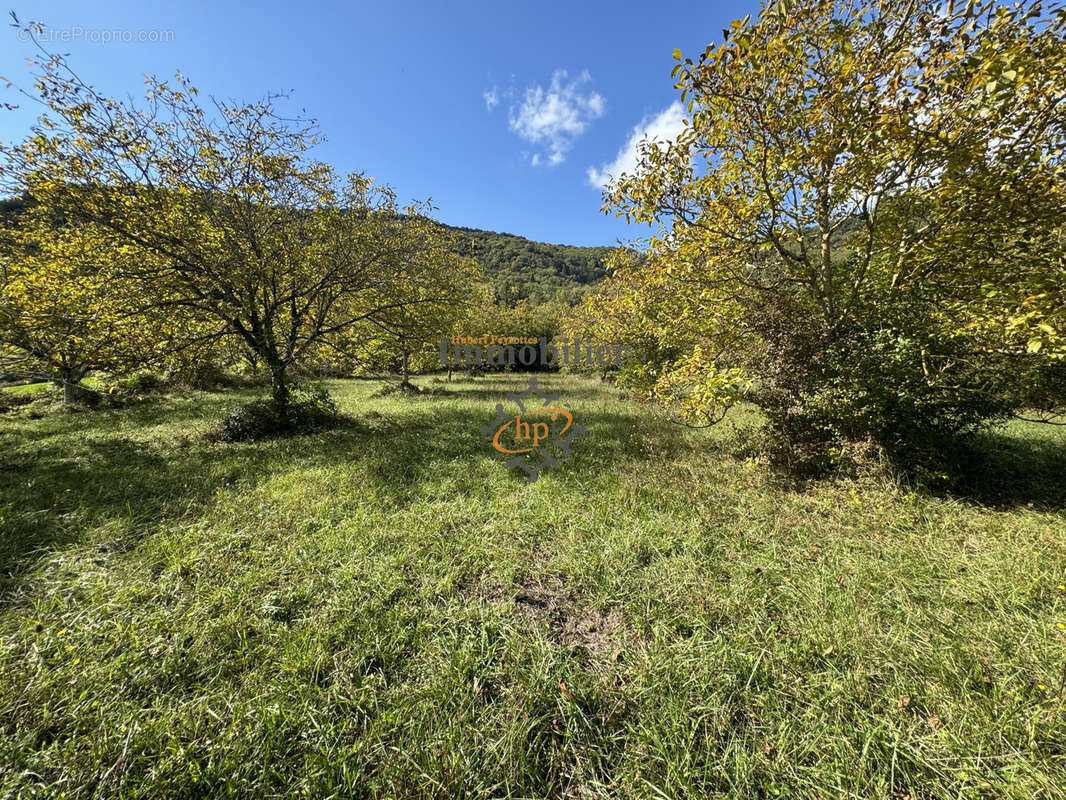 Terrain à SAINT-AFFRIQUE