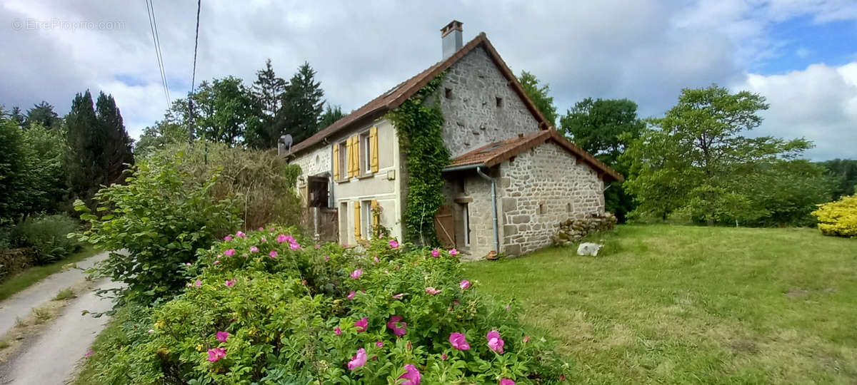 Maison à SAINT-PIERRE-BELLEVUE