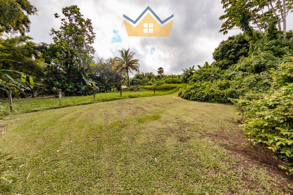 Terrain à LE MORNE-ROUGE