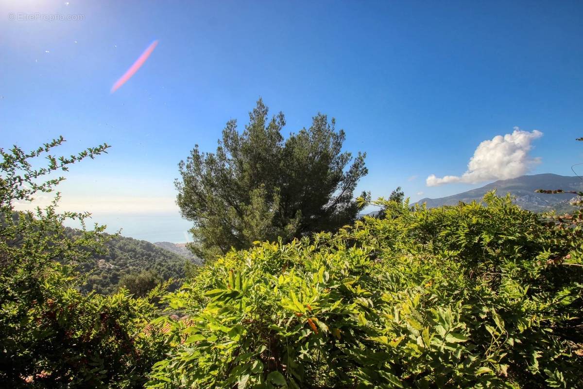 Terrain à MENTON