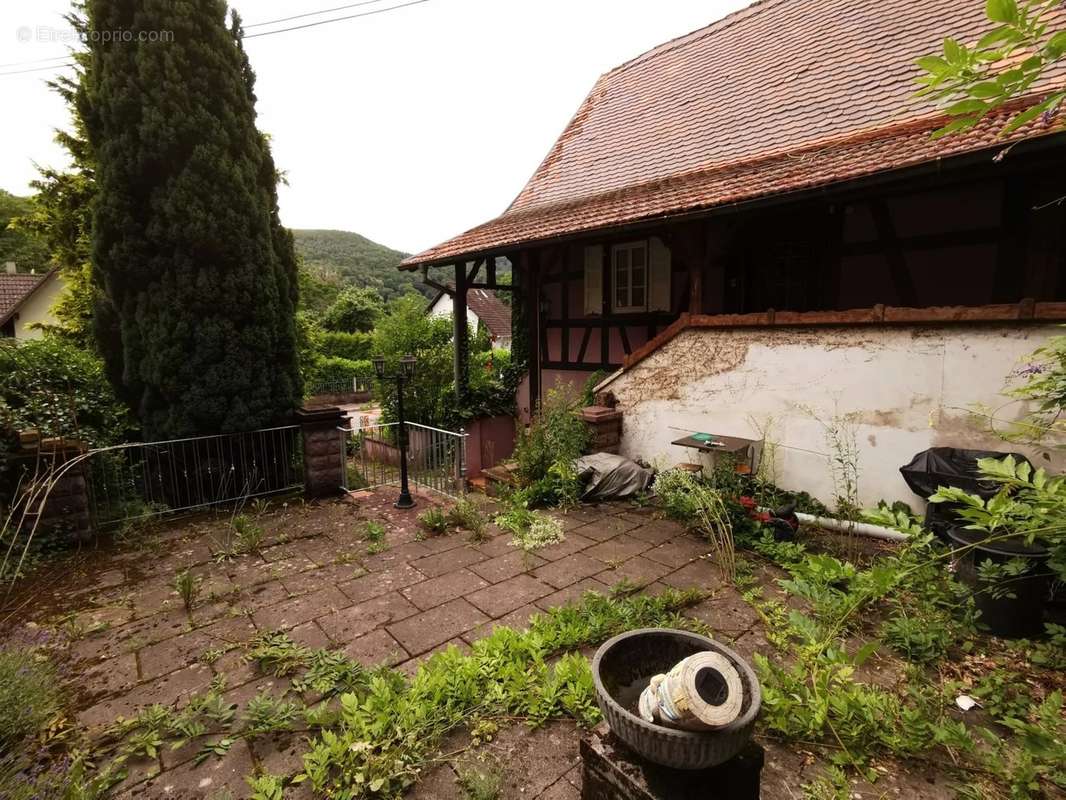 Maison à WISSEMBOURG