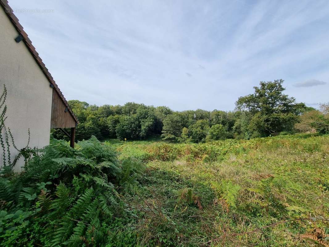 Terrain à JOUAC