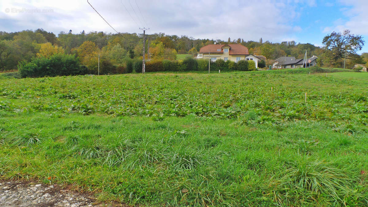 Terrain - Maison à ALBENS