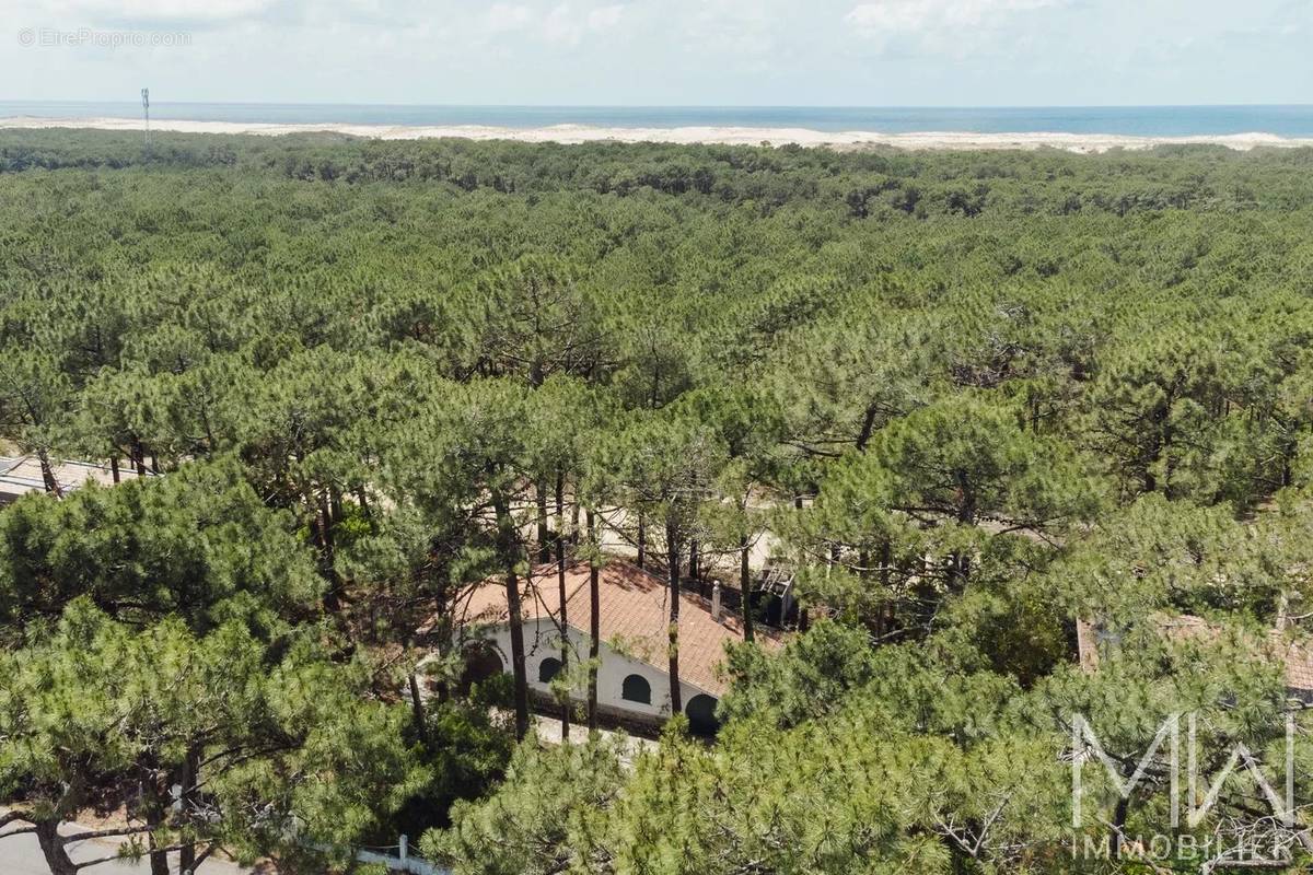 Maison à LEGE-CAP-FERRET