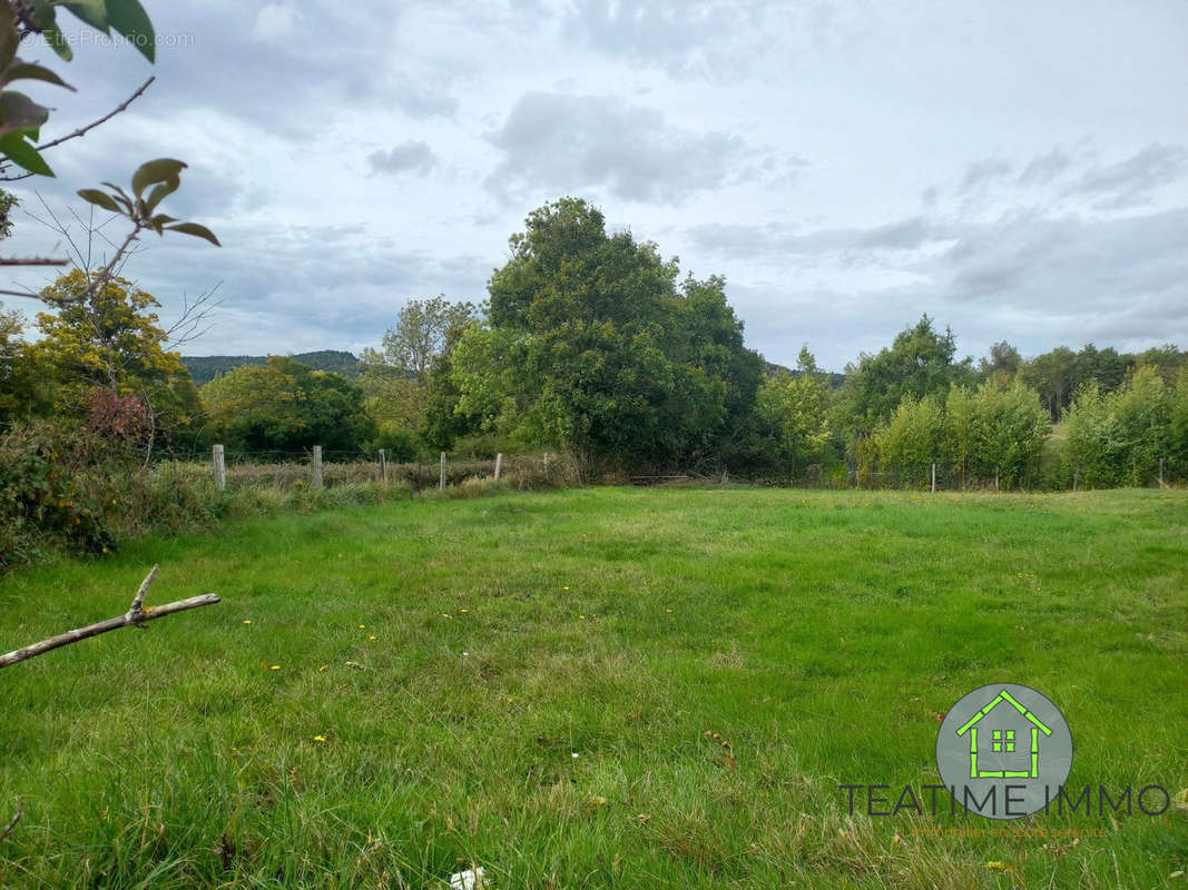 Terrain à SAINT-JULIEN-CHAPTEUIL