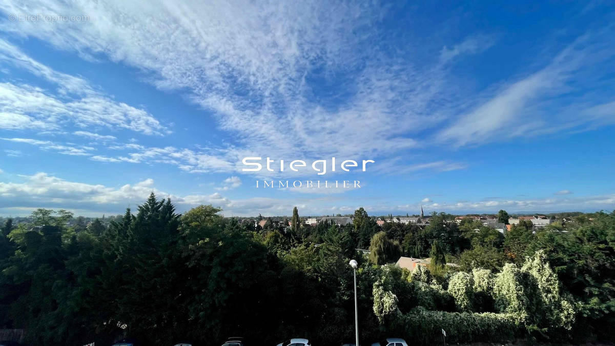 Vue depuis la terrasse - Appartement à STRASBOURG