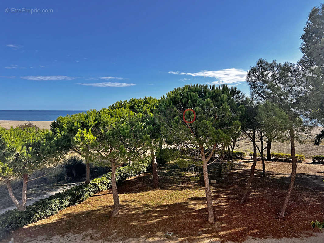 Appartement à ARGELES-SUR-MER