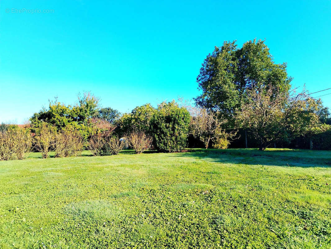 Terrain à BOURSEVILLE