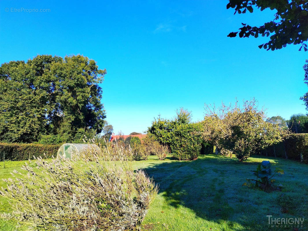 Terrain à BOURSEVILLE