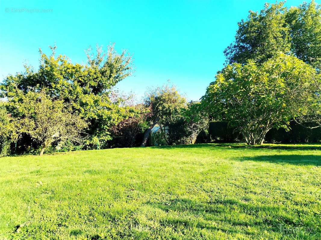 Terrain à BOURSEVILLE