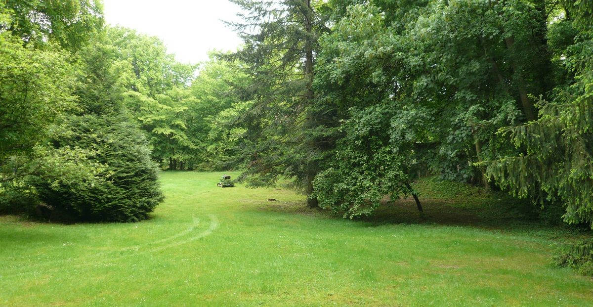 Terrain à VILLENEUVE-SUR-BELLOT