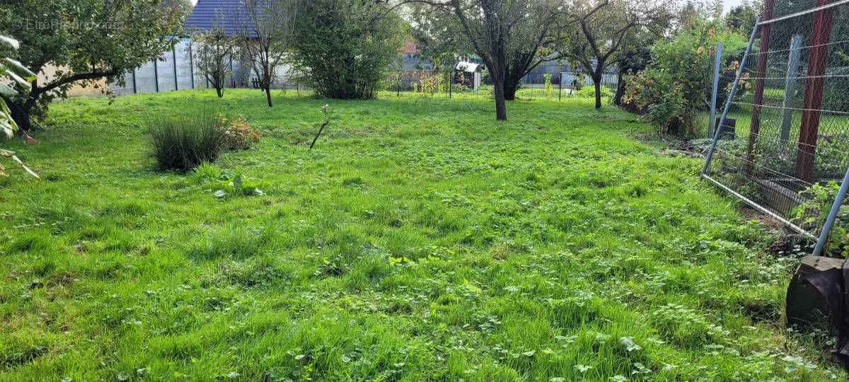 Terrain à CAMBRAI