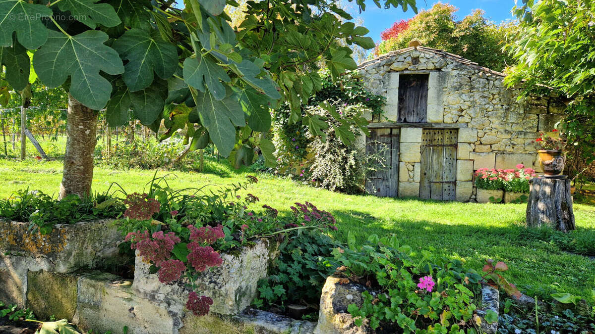 Maison à BRANNE