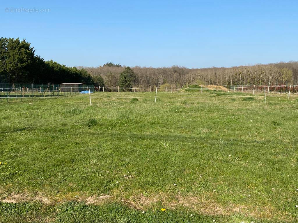 Terrain à CHAUMONT-SUR-LOIRE