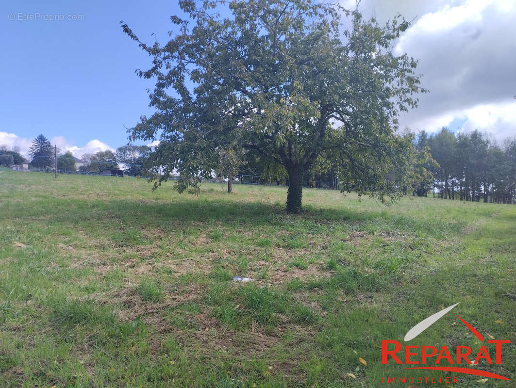 Terrain à ALLASSAC